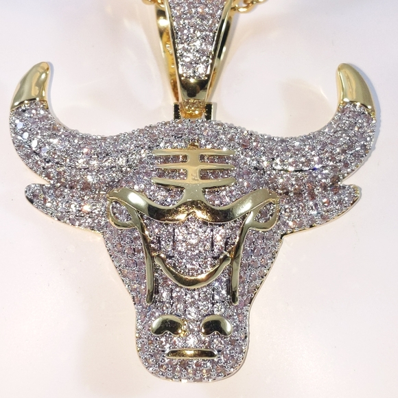 🧡 Iced Chicago Bull Pendant + Chain - Picture 7 of 8